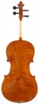 MV 8 back.jpg